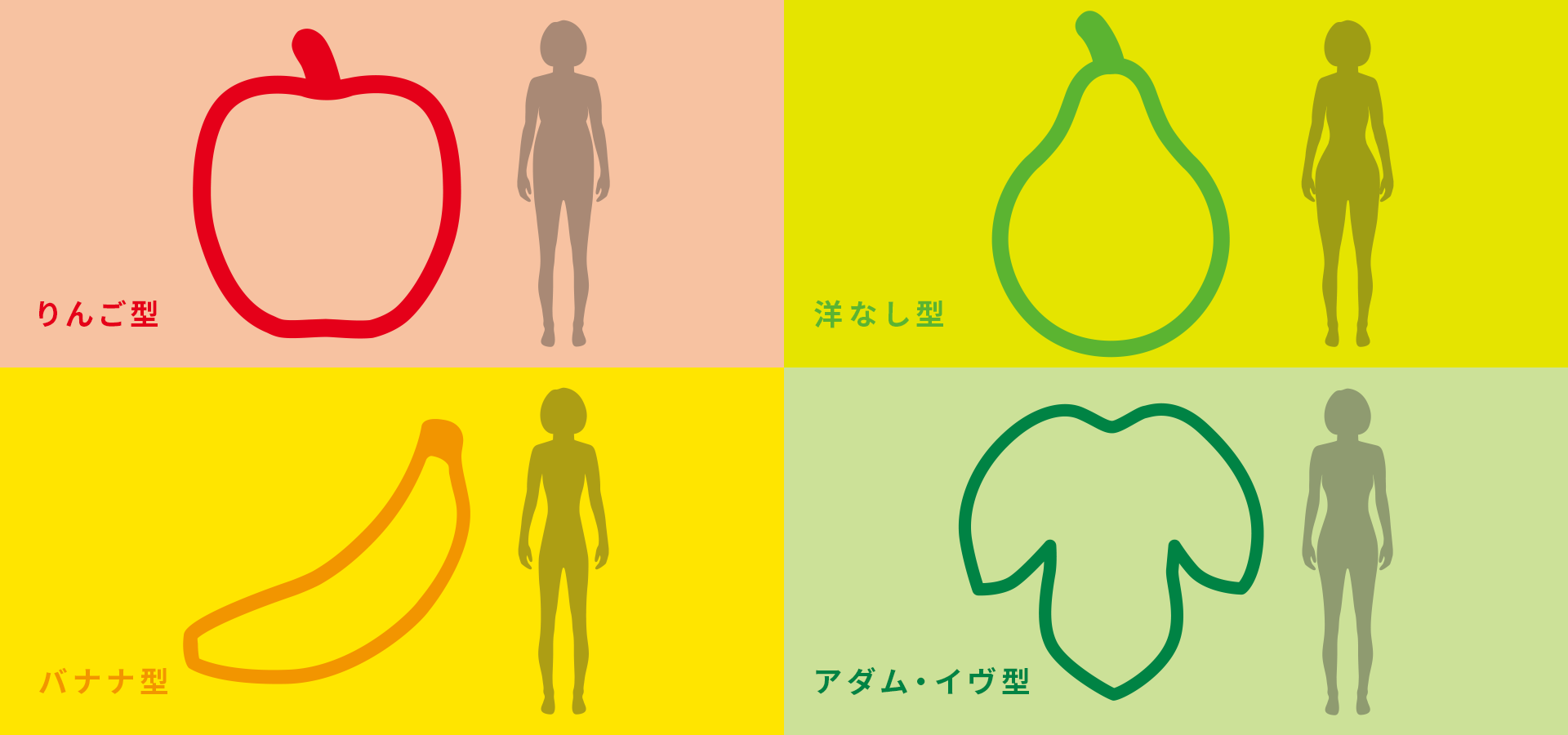 4つの遺伝子型ダイエットタイプ